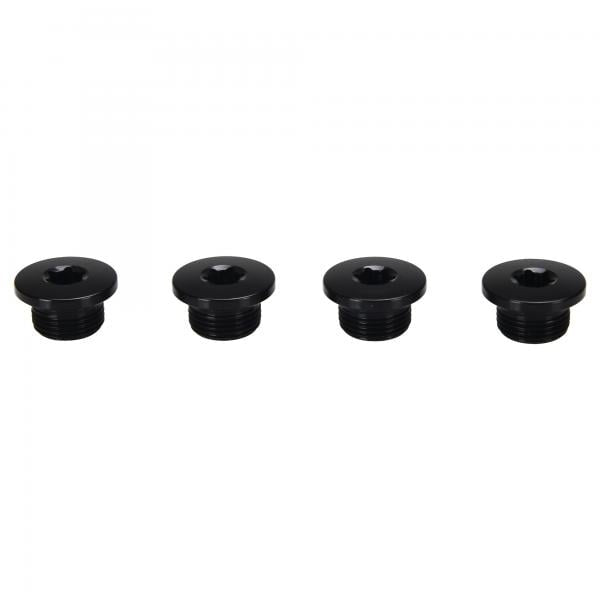 Chainring Bolts 13 Speed Ekar (4pcs)