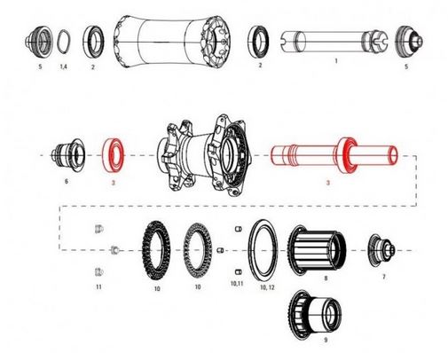AXLE W/BEARINGS REAR COGN