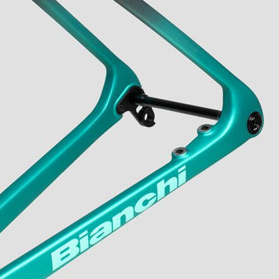 Bianchi Specialissima RC 2025 Frameset 55