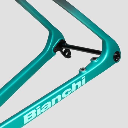 Bianchi Specialissima RC 2025 Frameset 55