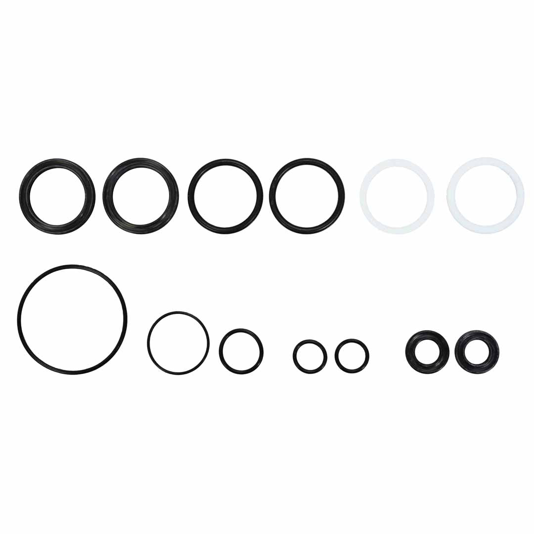 Lefty Iso 100 Hour Seals Seal